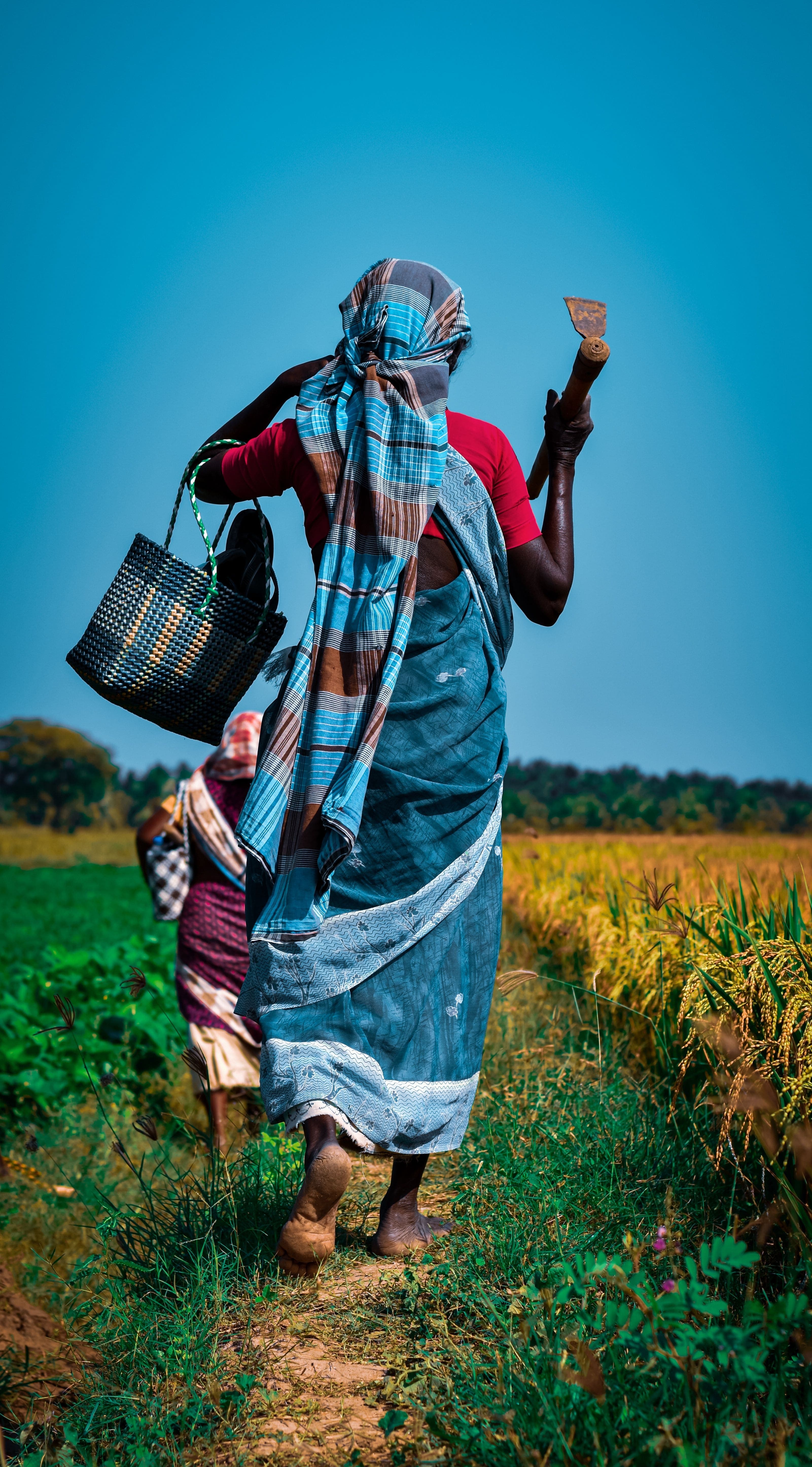 rural Agriculture
