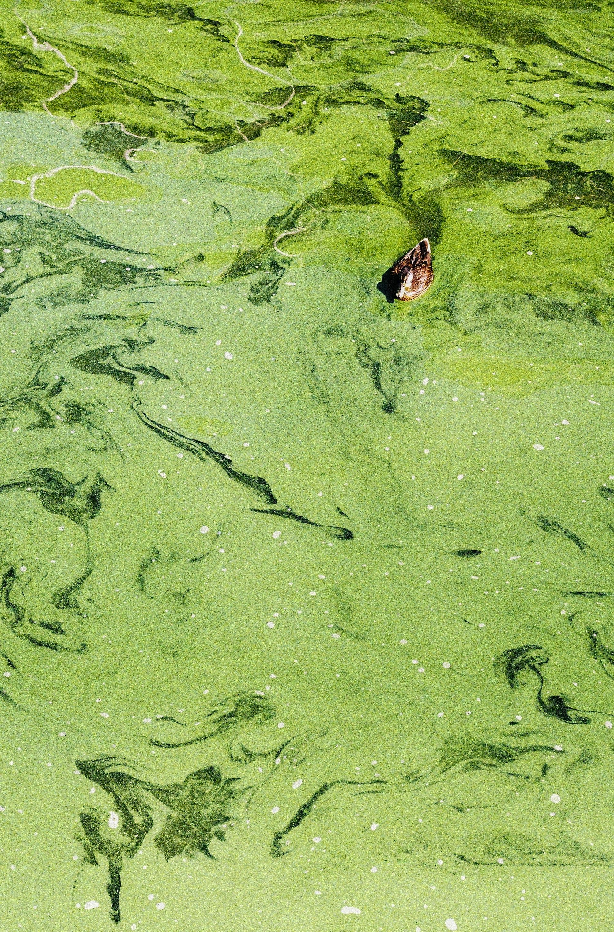 River Conservation